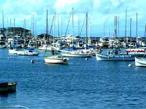 Monterey Tourism and Sightseeing